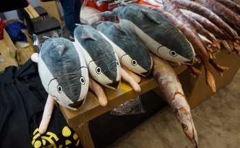 Kenapa Ikan Merupakan Merchandise Terbaik di Gelaran AFA ID 2016